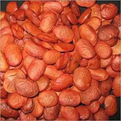 Seasonal Agro Product Seasonal Agro Product